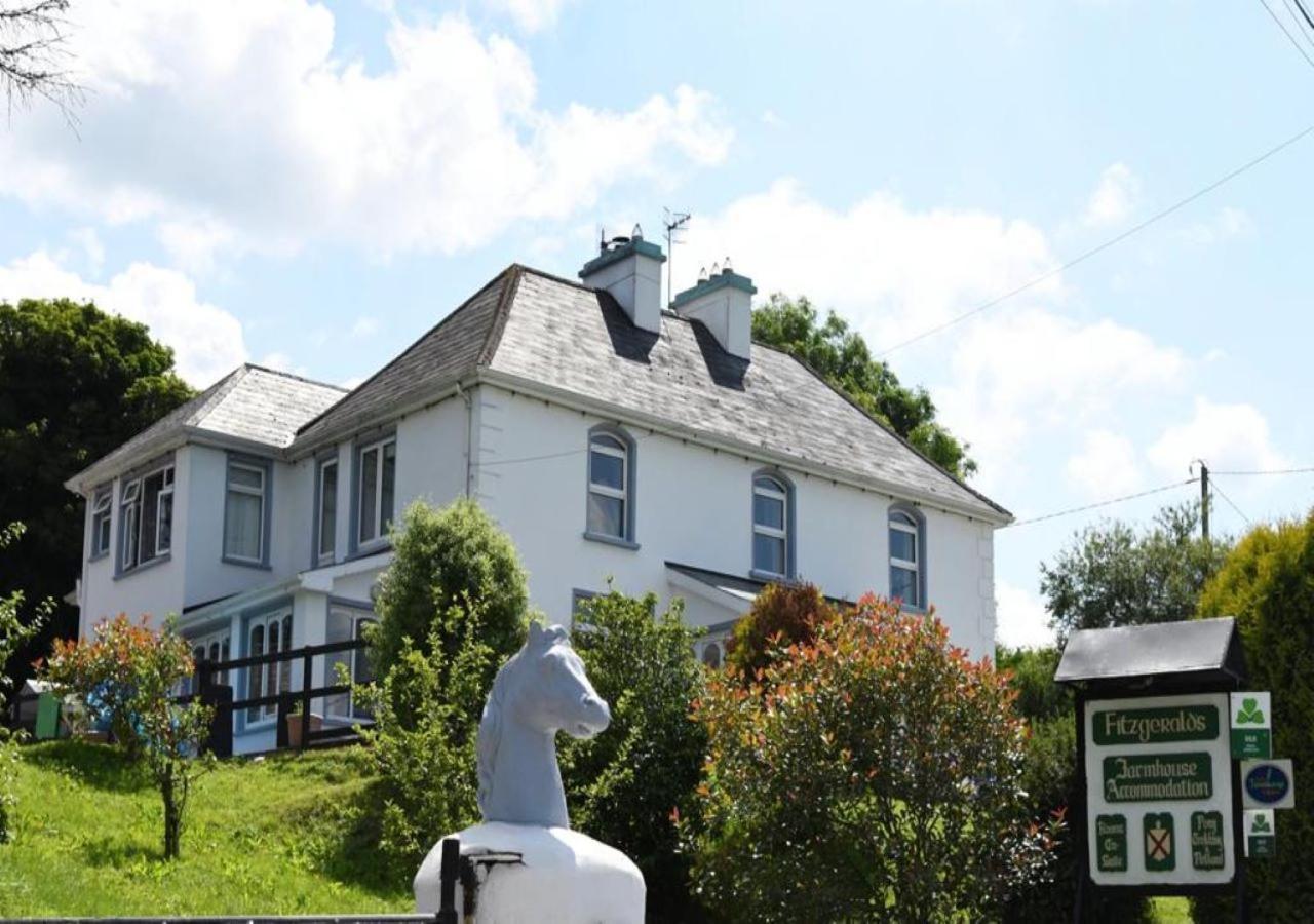 Fitzgerald'S Farmhouse Accommodation V94 Yy47 Abbeyfeale Eksteriør bilde